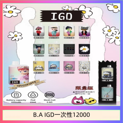 B.A IGD12000口 電子煙